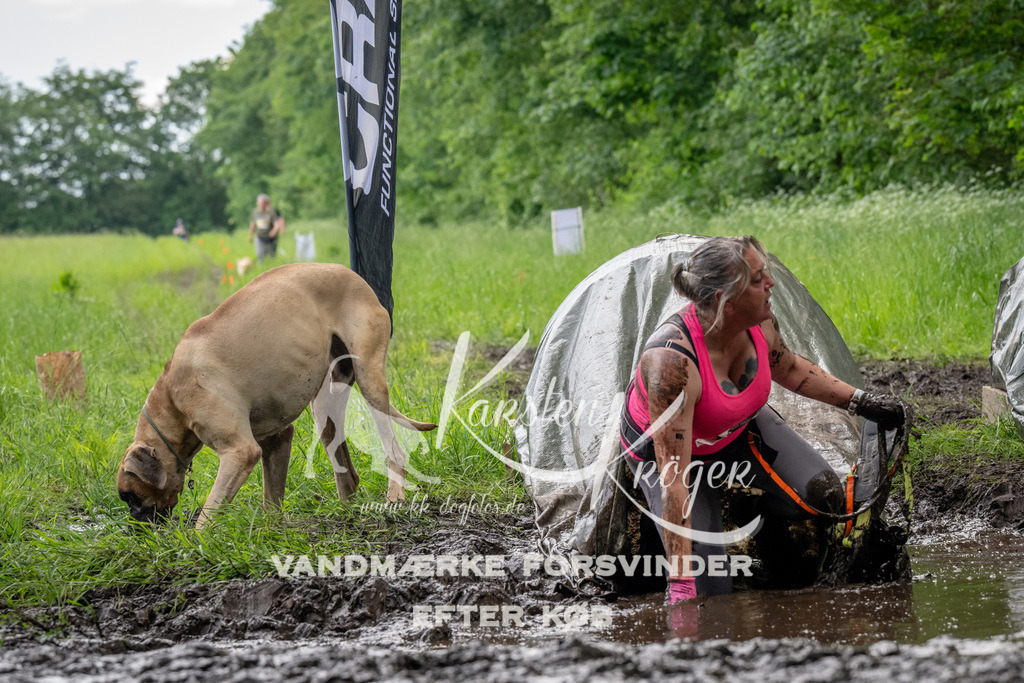 1507_ZZ91865 | kk-dogfotos