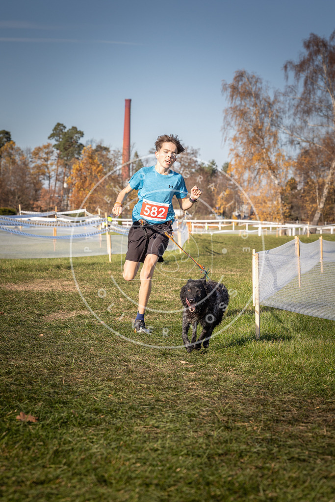 CaniXpix_0L8A8207 | Hundefotografie, Tierfotograf, Pfotenfotografie, Fotoshooting Hund, Hunde Portrait, Hundesport, Hundeportraits, Heideshooting, Hunde, Sportfotograf, Hundefotograf, Turnierhundsport, THS,  - Realisiert mit Pictrs.com