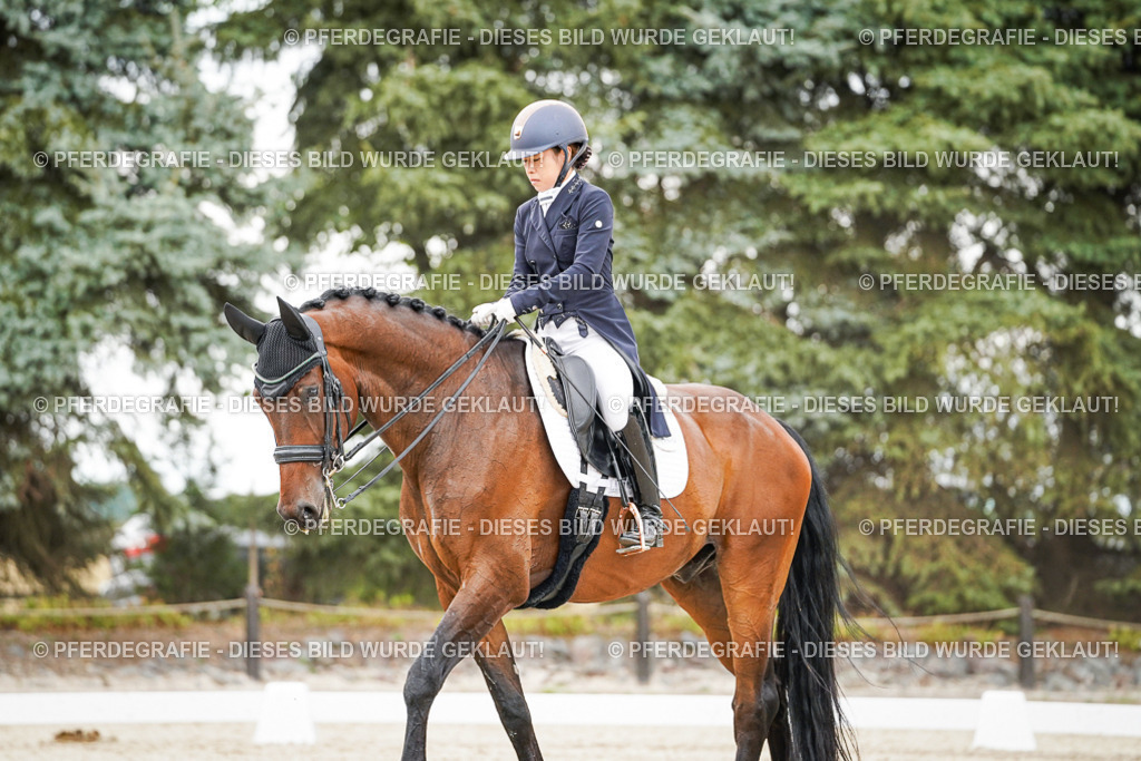 DSC05447 | Pferdegrafie