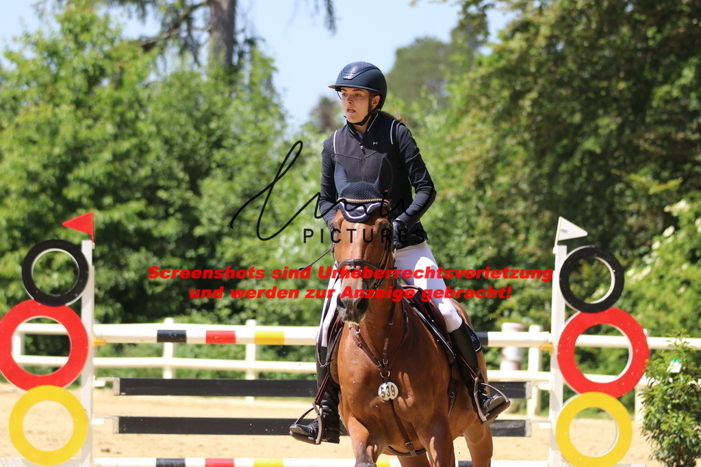 IMG_2506 | lmwpictures - Realisiert mit Pictrs.com