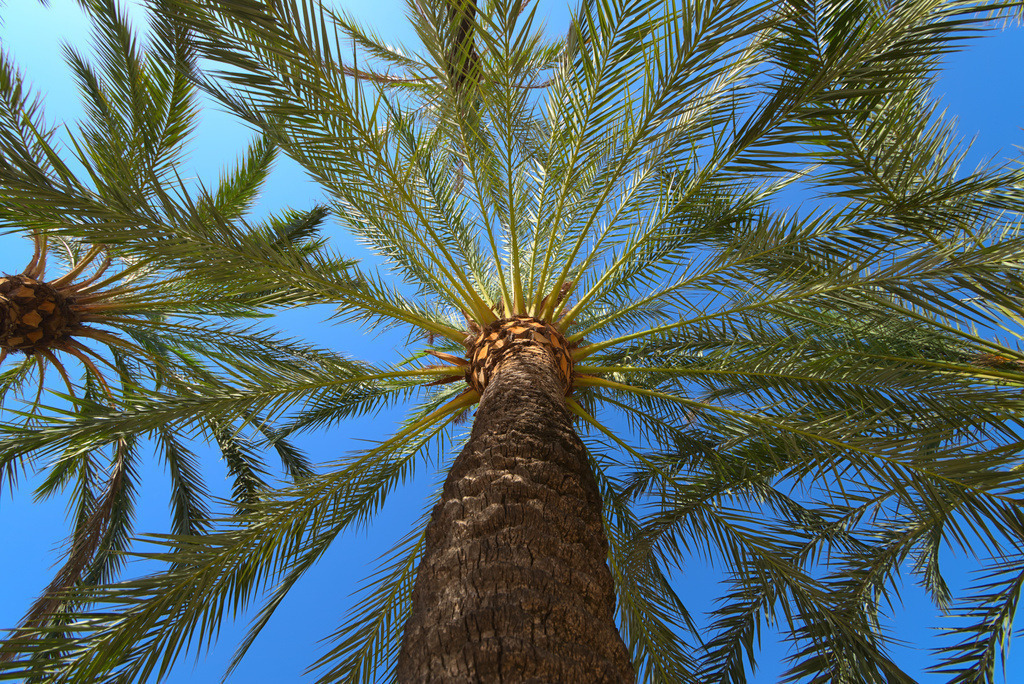 Urlaub Valencia 2023 | Seelentiefe - Bilder die bewegen - Realisiert mit Pictrs.com