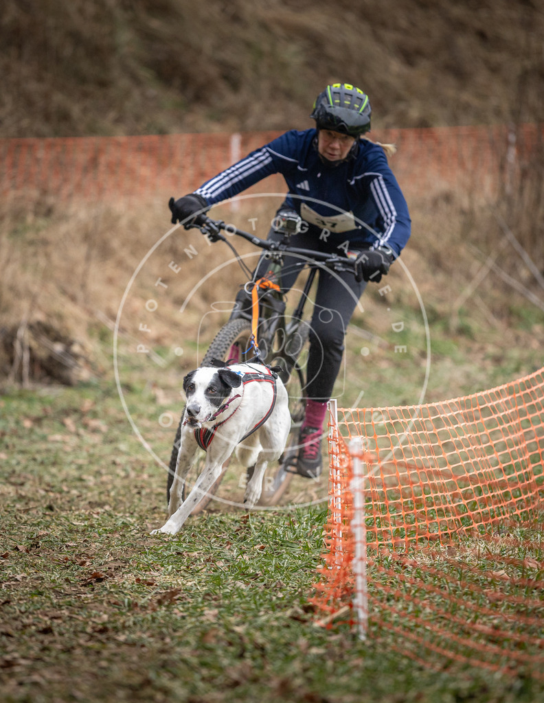 Pfotenfotografie_DV3A5144 | Hundefotografie, Tierfotograf, Pfotenfotografie, Fotoshooting Hund, Hunde Portrait, Hundesport, Hundeportraits, Heideshooting, Hunde, Sportfotograf, Hundefotograf, Turnierhundsport, THS,  - Realisiert mit Pictrs.com