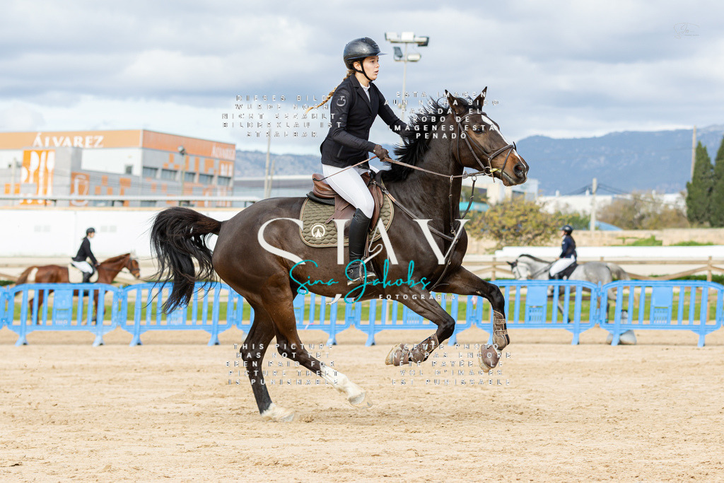 IMG_3084 | s-jay-photography - Realisiert mit Pictrs.com