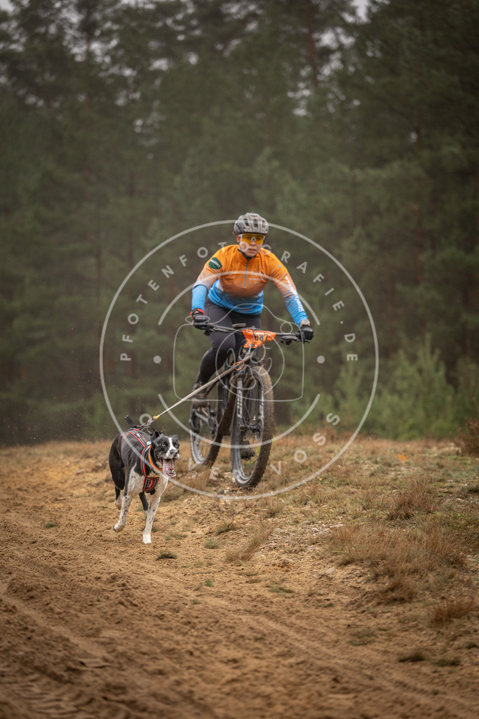 Pfotenfotografie_DV3A2887 | Hundefotografie, Tierfotograf, Pfotenfotografie, Fotoshooting Hund, Hunde Portrait, Hundesport, Hundeportraits, Heideshooting, Hunde, Sportfotograf, Hundefotograf, Turnierhundsport, THS,  - Realisiert mit Pictrs.com