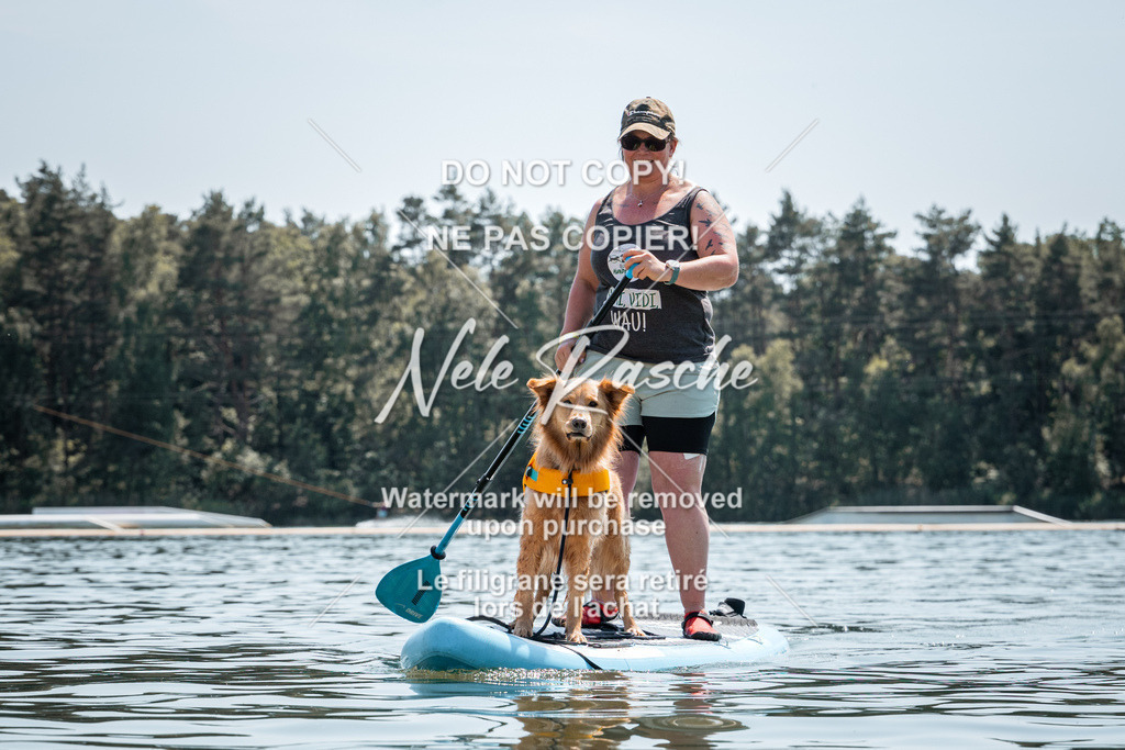 nelerasche_saSUP2_110 | nelerasche