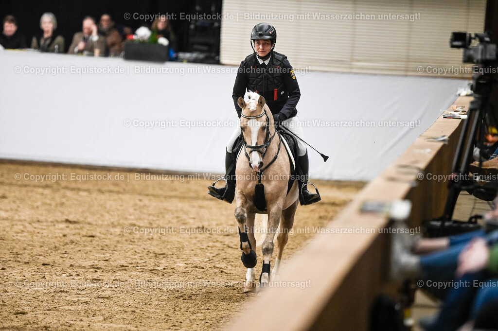 20260307_Hengstvorstellung-Marbach_0393 | equistock