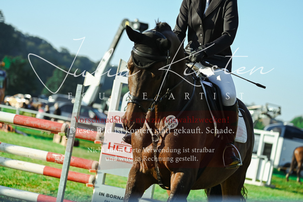 DSC_4171 | Pferde- und Turnierfotografie in Westsachsen. Pferdeportraits, Auftragszeichnungen und intuitive Kunst.