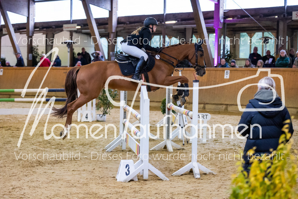 Sth-A-Spr.m.st.A.-020 | MomenTaufnahmen Pferdesportfotos