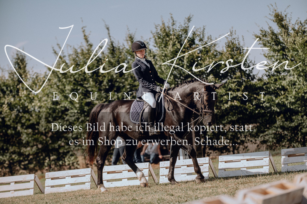 DSC_7277 | Pferde- und Turnierfotografie in Westsachsen. Pferdeportraits, Auftragszeichnungen und intuitive Kunst.