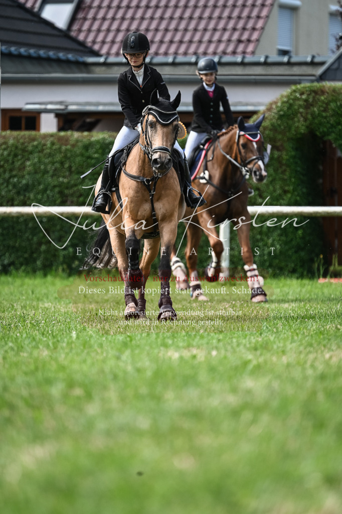 DSC_8687 | Pferde- und Turnierfotografie in Westsachsen. Pferdeportraits, Auftragszeichnungen und intuitive Kunst.