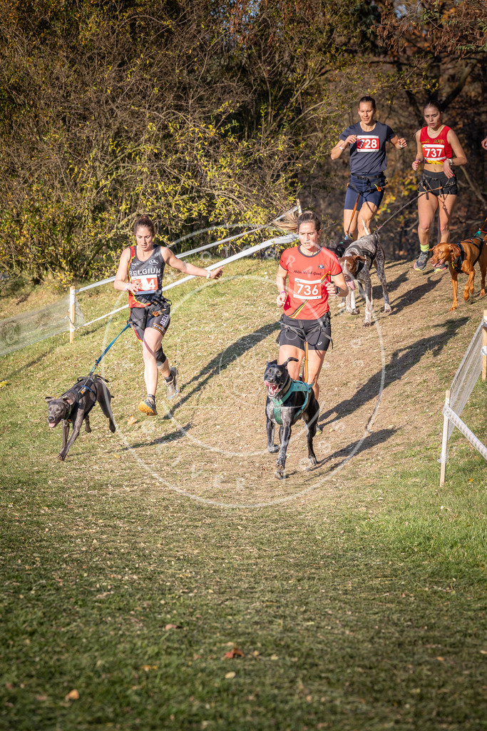 CaniXpix_0L8A9782 | Hundefotografie, Tierfotograf, Pfotenfotografie, Fotoshooting Hund, Hunde Portrait, Hundesport, Hundeportraits, Heideshooting, Hunde, Sportfotograf, Hundefotograf, Turnierhundsport, THS,  - Realisiert mit Pictrs.com
