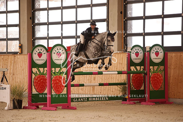 1J2A2452Rica Marlene Scholz_ Cool Shuttle S_ Kn170_ Hohen Wieschendorf_ Glantz | Foto- und Videografie für alles rund ums Pferd. Hochwertige Bilder und Videos vom Spring- und Dressurreiten, Voltigieren & mehr. Jetzt aktuelle Veranstaltungen und Preise im Shop ansehen. - Realisiert mit Pictrs.com