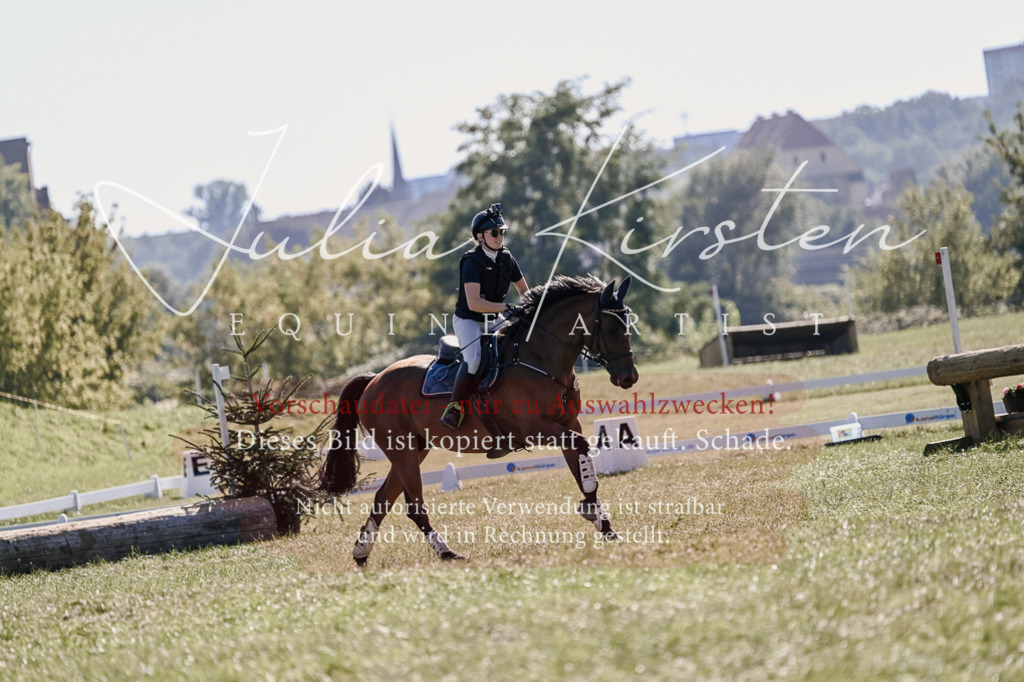 DSC_3359 | Pferde- und Turnierfotografie in Westsachsen. Pferdeportraits, Auftragszeichnungen und intuitive Kunst.