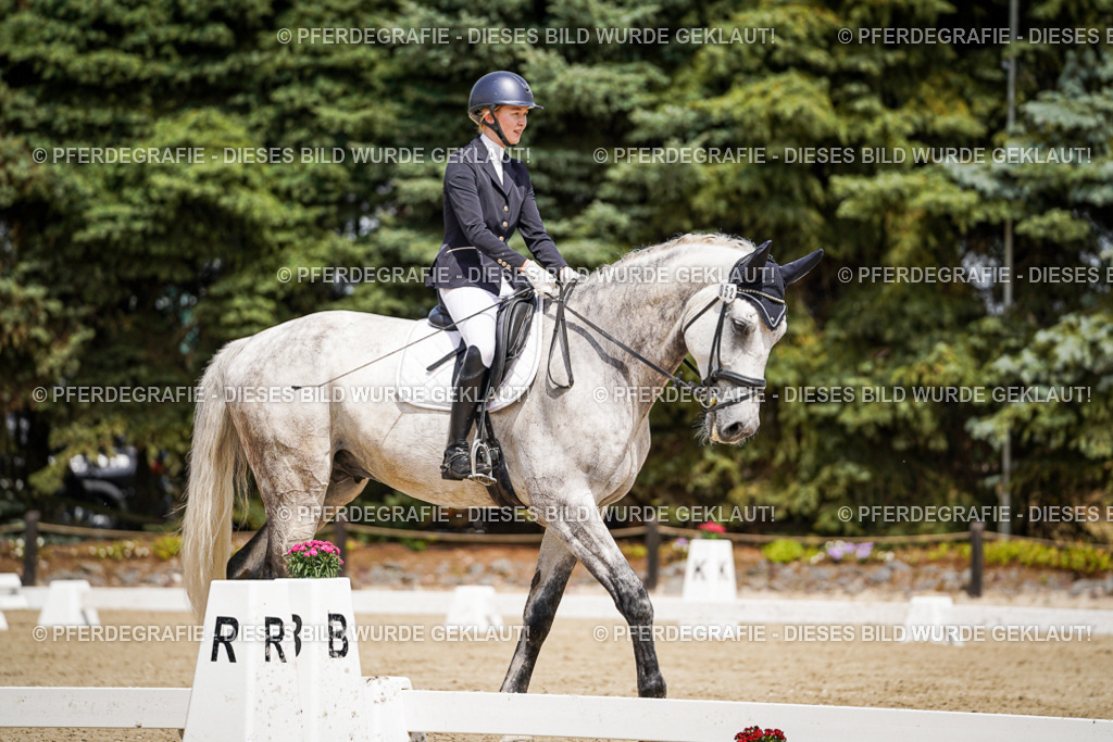 DSC02234 | Pferdegrafie