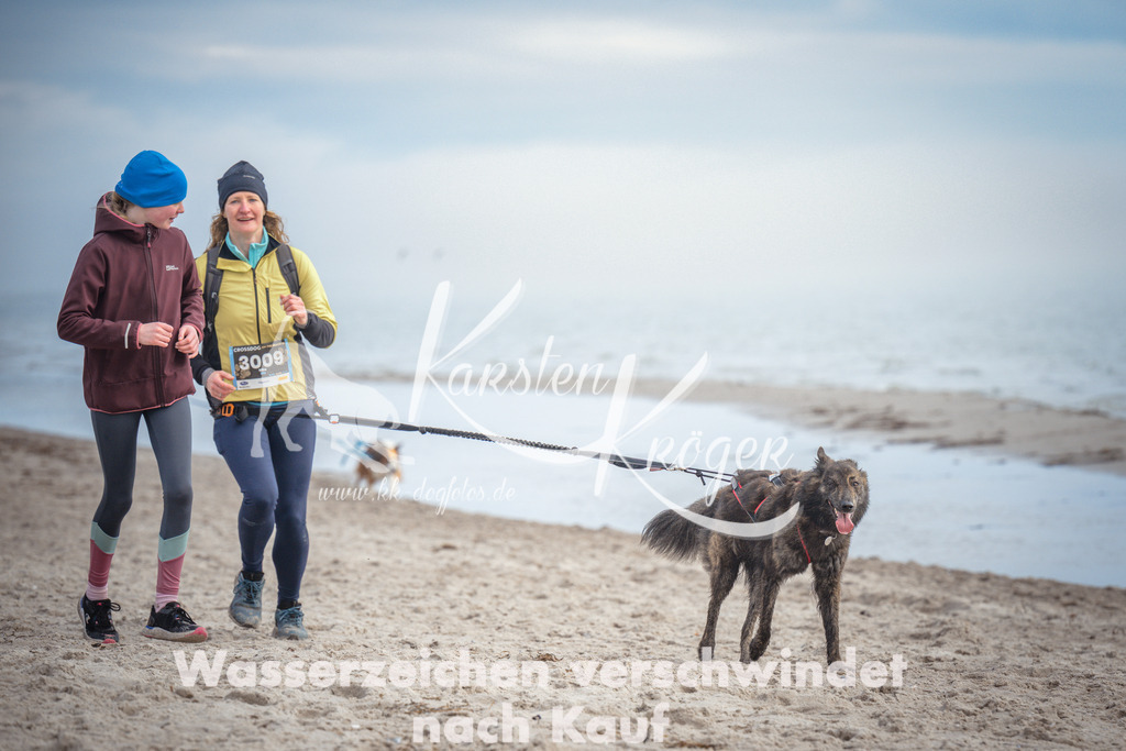 1145_ZZ90587 | kk-dogfotos