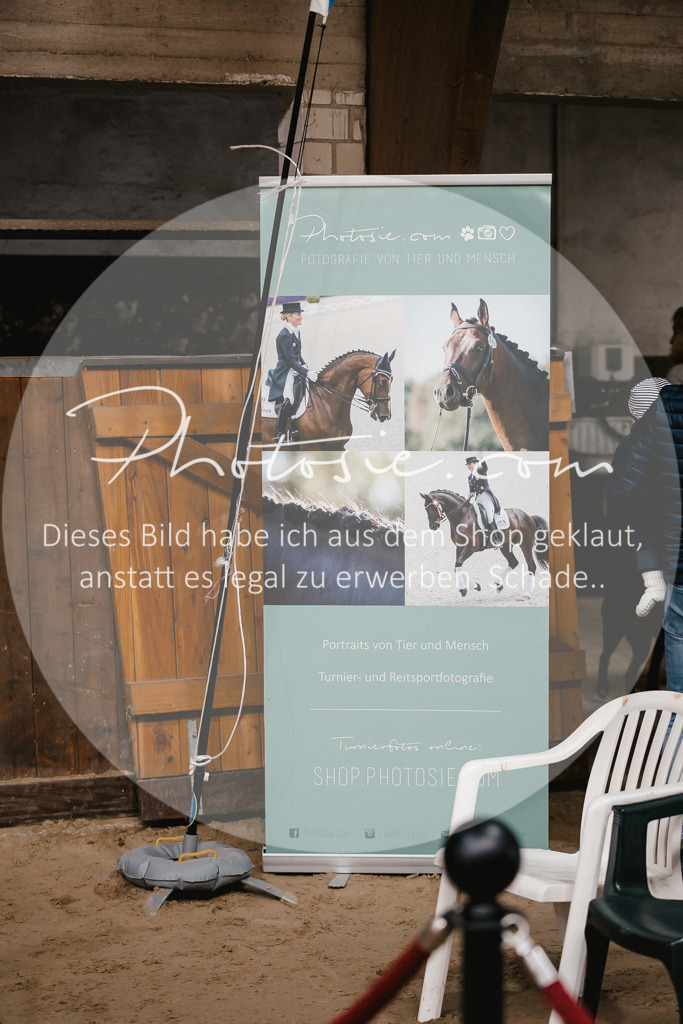 3I6A9182 | Stimmungsvolle Portraits und Reitsportfotografie im Ruhrgebiet und im Münsterland.

Pferdefotografie, Hundefotografie, Tierfotografie, Reportagen, Portraits von Tier und Mensch, Turnierfotografie in Bochum, Recklinghausen, Marl, Haltern am See, Dülmen.. - Realisiert mit Pictrs.com