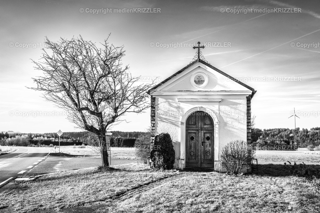 _J3A9887 | medienkrizzler - Realisiert mit Pictrs.com