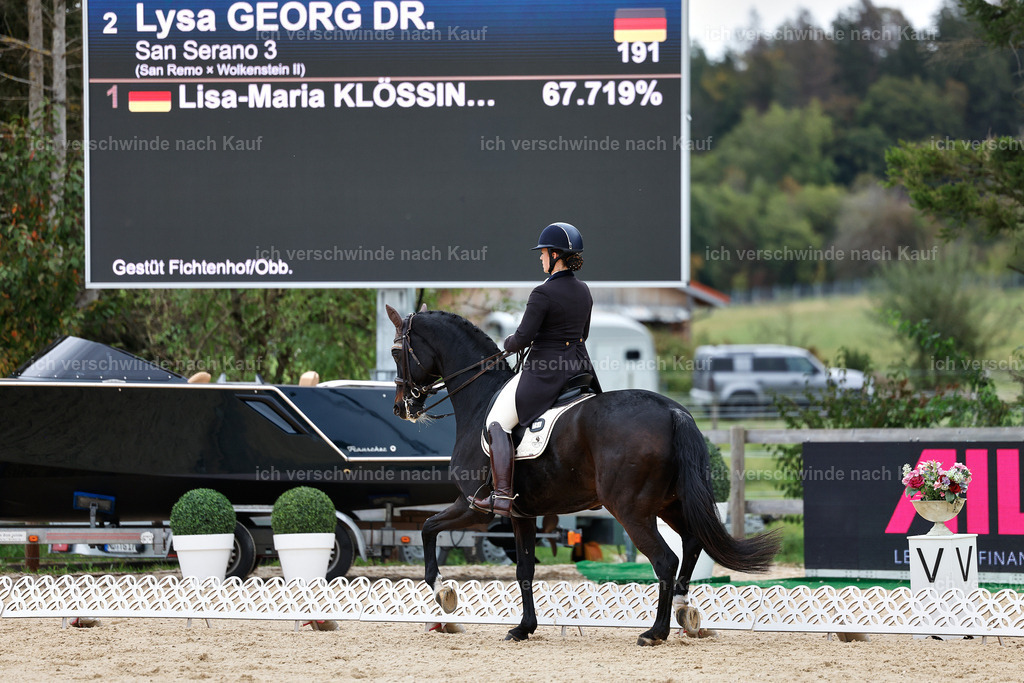 11-191-Dressur S___-StoibPH-897 | working equitationturnier fotograf videograf stoibphotography marixx film working equitation deutschland reitsport turnierfotografie eventfotografie equestrian events