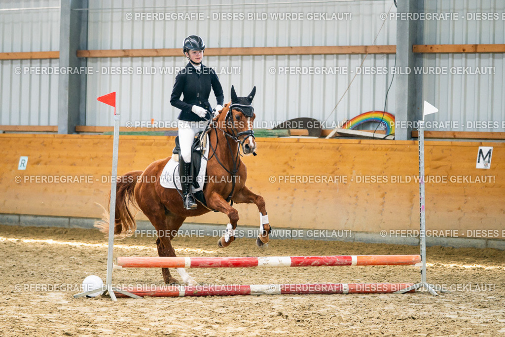 DSC01475 | Pferdegrafie