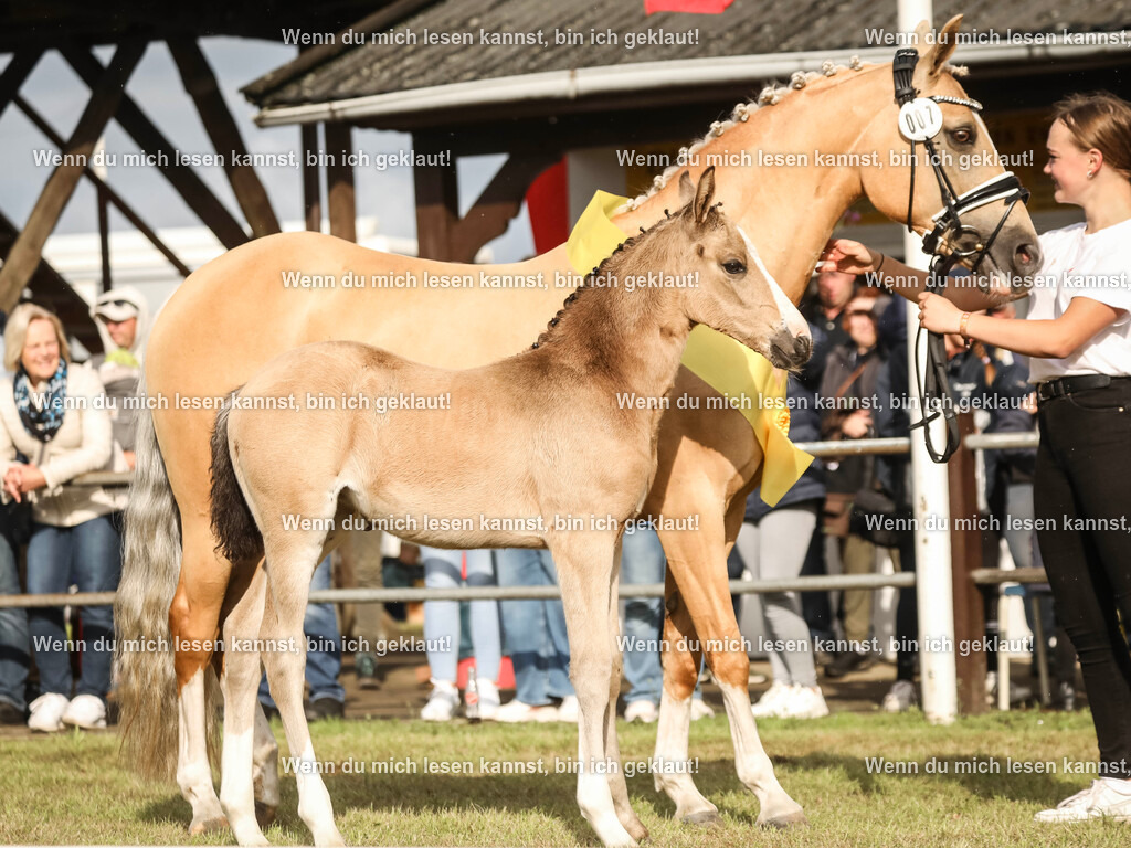 598A2481-2 | photographylinaismer - Realisiert mit Pictrs.com