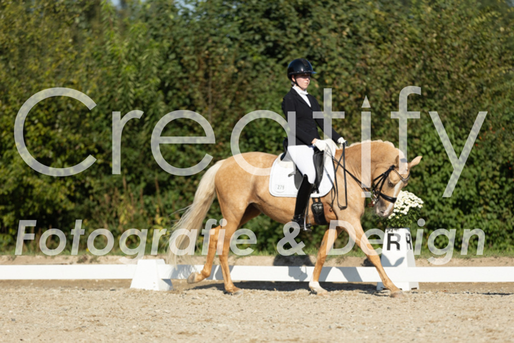 IMG_0964 | Creatify Fotografie