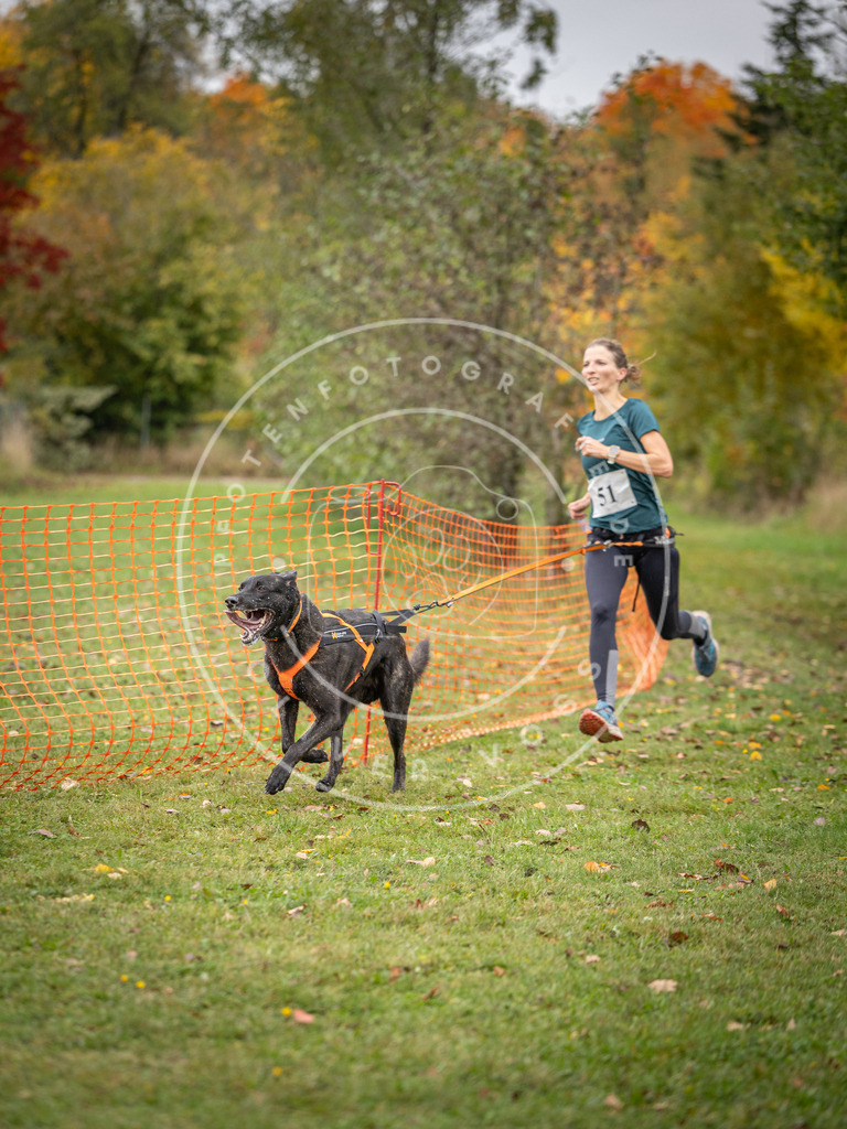 Pfotenfotografie_DV3A2488 | Hundefotografie, Tierfotograf, Pfotenfotografie, Fotoshooting Hund, Hunde Portrait, Hundesport, Hundeportraits, Heideshooting, Hunde, Sportfotograf, Hundefotograf, Turnierhundsport, THS,  - Realisiert mit Pictrs.com
