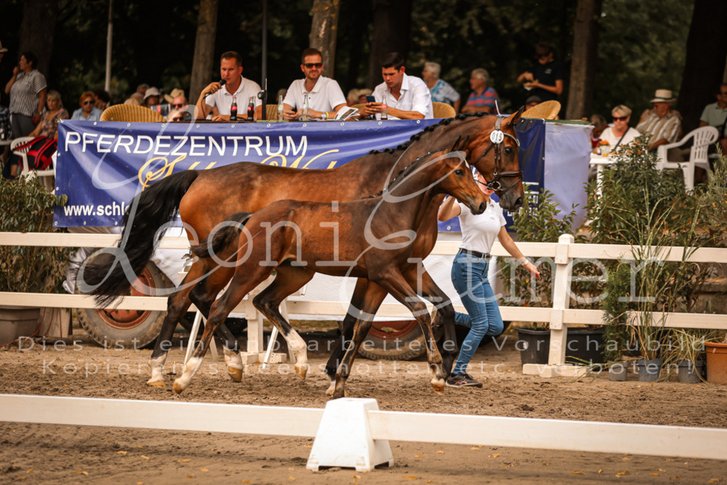 SaPA00207 | Leoni Ertmer Photography - Realisiert mit Pictrs.com