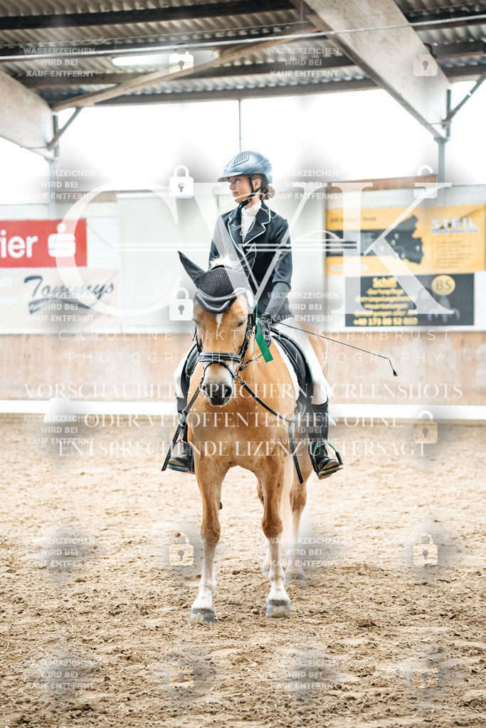 CK703107 | Turnierfotografie Pferdefotografie Trier Rheinland-Pfalz Pferdesport Reitsport Tierfotografie Sportfotografie Pferdevideo Pferdevideografie Equestrianvideography equestrianphotography  - Realisiert mit Pictrs.com