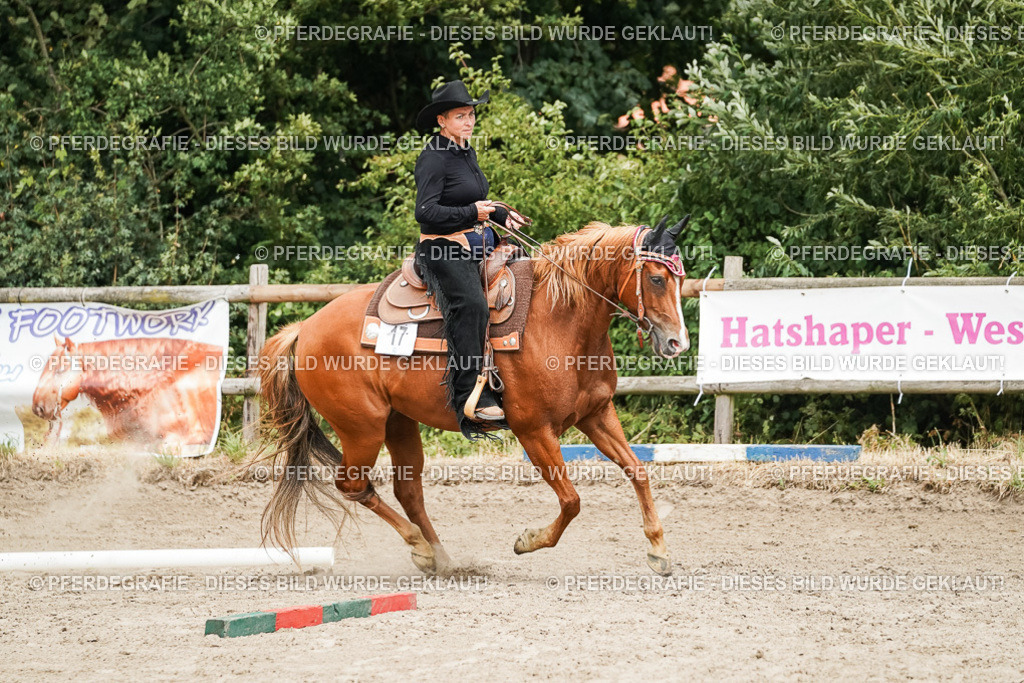 DSC08082 | Pferdegrafie