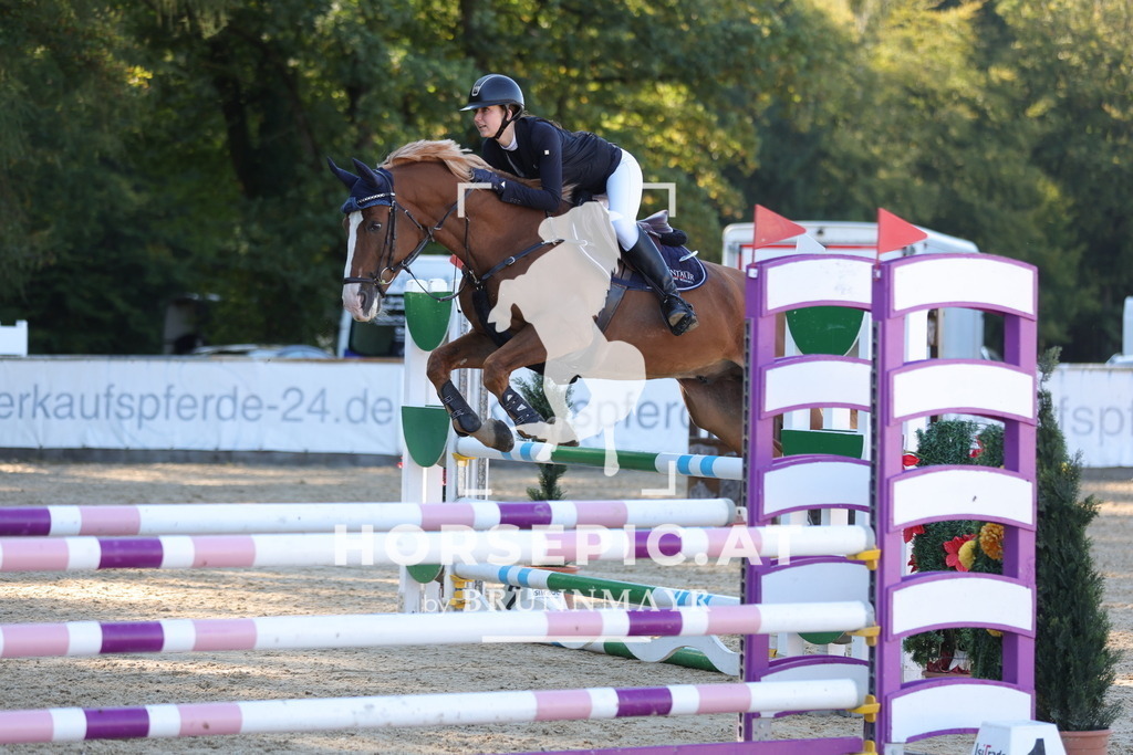 0P6A0779 | Willkommen bei Brunnmayr - Design & Fotografie – Ihrem Spezialisten für Reitturniere und Pferdeveranstaltungen in Oberösterreich, Salzburg und Bayern! Seit über 17 Jahren sind wir leidenschaftlich dabei.