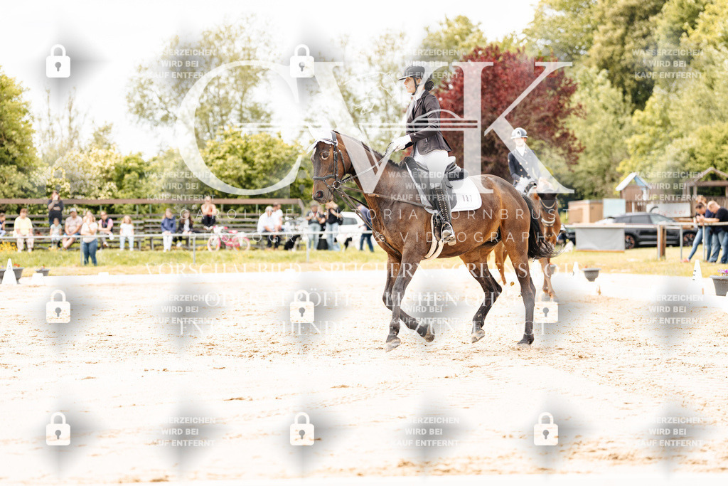 CK902885 | Turnierfotografie Pferdefotografie Trier Rheinland-Pfalz Pferdesport Reitsport Tierfotografie Sportfotografie Pferdevideo Pferdevideografie Equestrianvideography equestrianphotography  - Realisiert mit Pictrs.com
