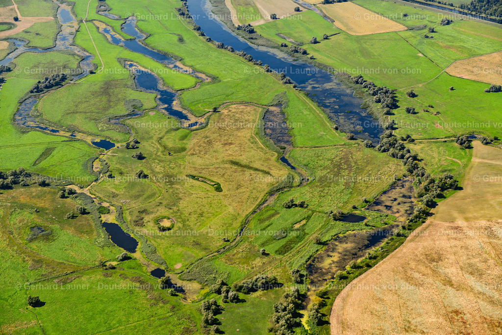 3637456 | Nationalpark Unteres Odertal bei ZüTZEN 25.08.2016 Grasflächen- Strukturen einer Feld- und Wiesen- Landschaft  in Zützen im Bundesland Brandenburg, Deutschland // Structures of a field landscape  in Zützen in the state Brandenburg, Germany Foto: Gerhard Launer