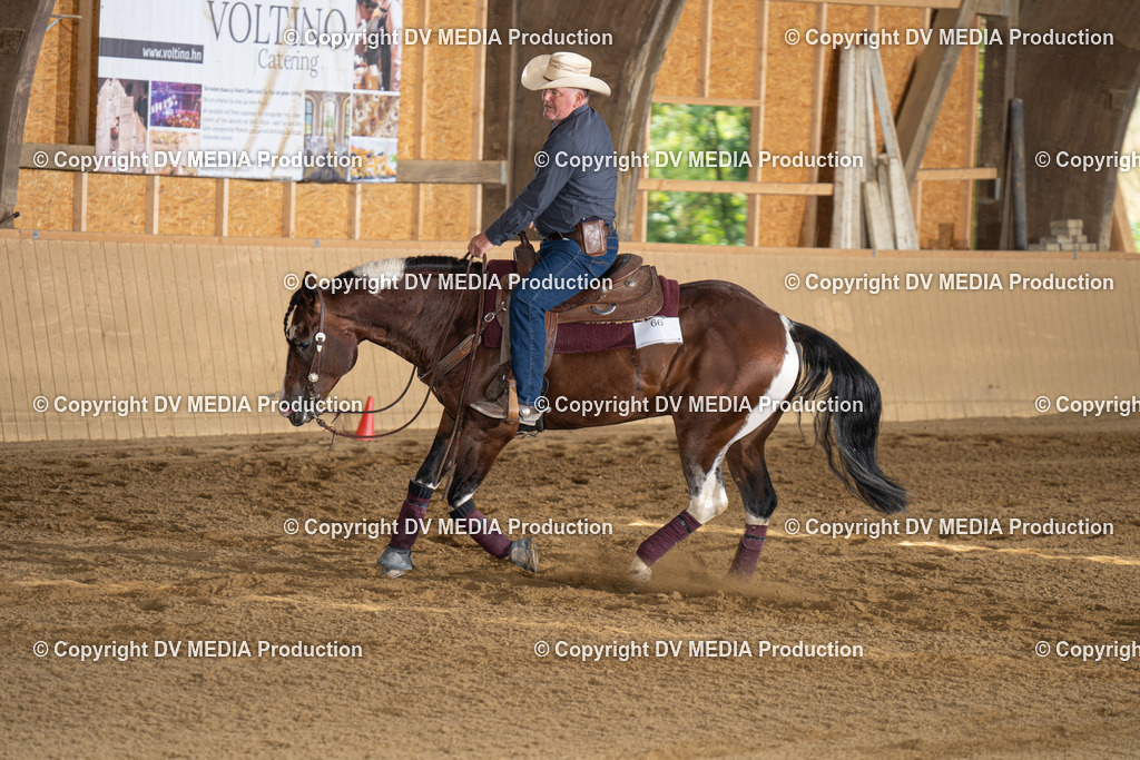 DSC00064 | dv-media-shop - Realisiert mit Pictrs.com