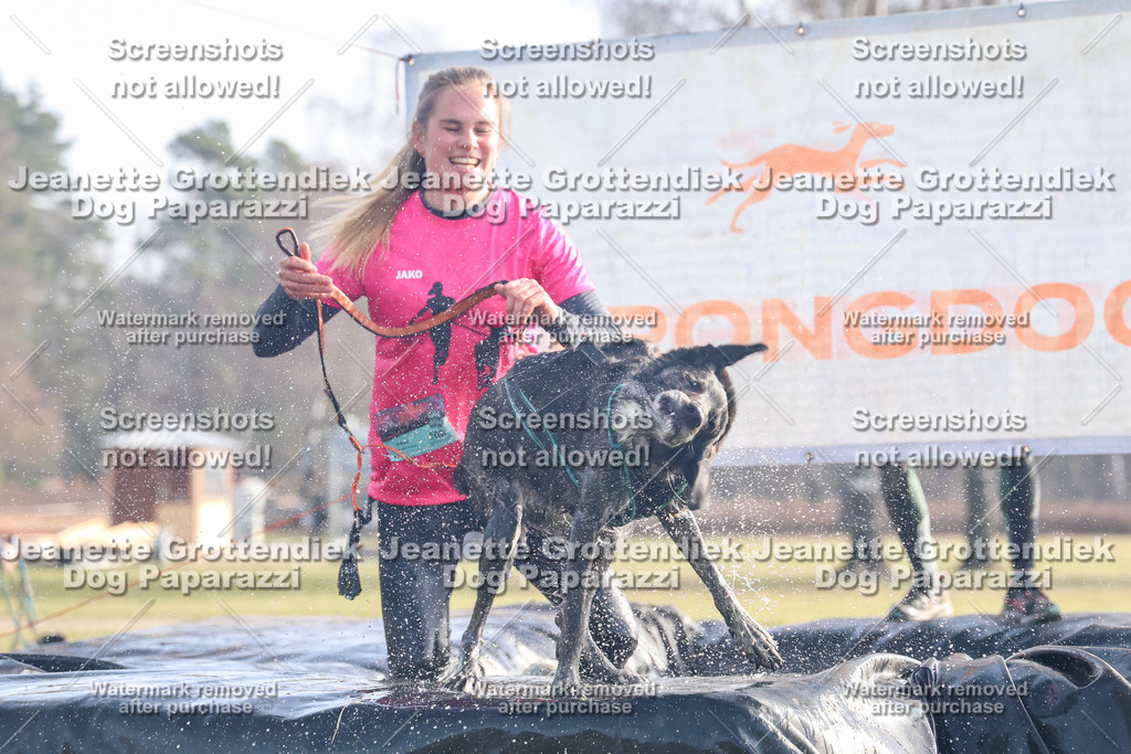 Dog Paparazzi - Strongdog North Mrz26-204 | Dog Paparazzi Jeanette Grottendiek Fotografie & Videografie - Realisiert mit Pictrs.com