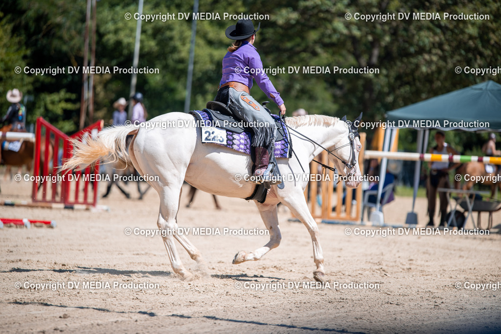 ZS1_1144 | dv-media-shop - Realisiert mit Pictrs.com