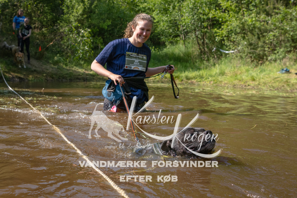 1628DKK990561 | kk-dogfotos