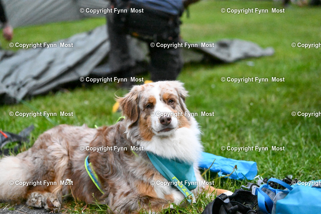 DSC_7779 | Hallo und herzlich Willkommen auf meiner Shop-Seite Fynn Most.

Ich wünsche Dir viel Spaß beim stöbern durch die Bilder, wenn Du Fragen hast oder Bilder vermisst, kannst du mir gerne eine Nachricht schreiben. - Realisiert mit Pictrs.com