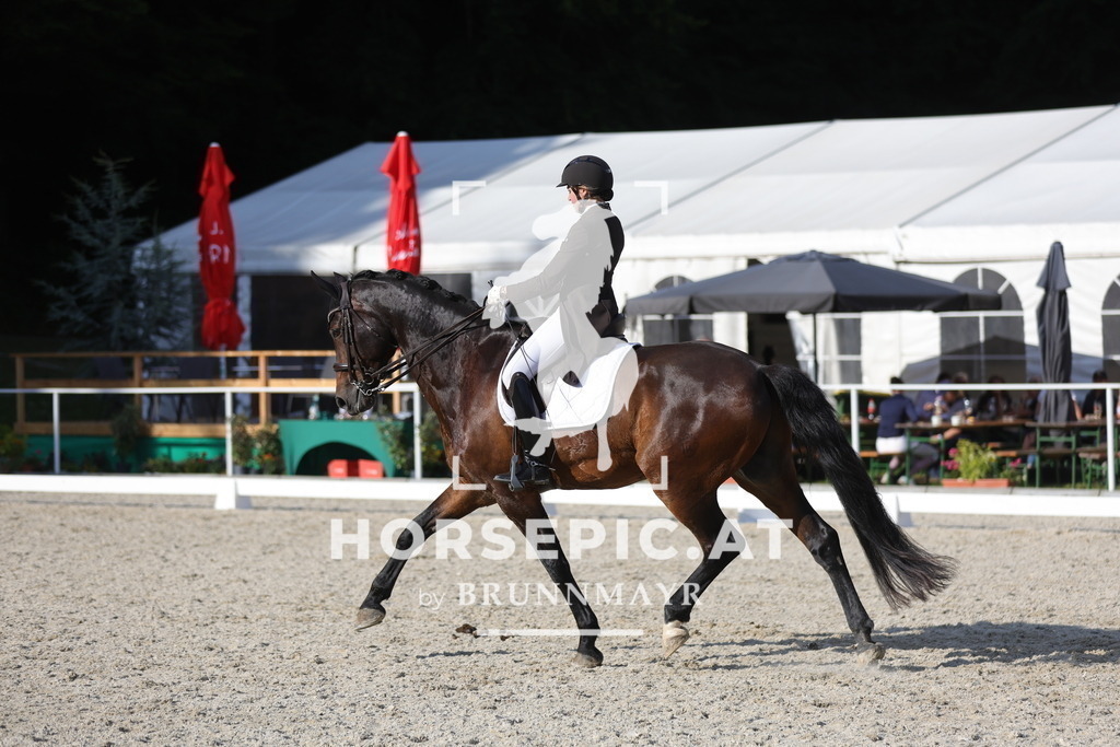 0P6A7534 | Willkommen bei Brunnmayr - Design & Fotografie – Ihrem Spezialisten für Reitturniere und Pferdeveranstaltungen in Oberösterreich, Salzburg und Bayern! Seit über 17 Jahren sind wir leidenschaftlich dabei.