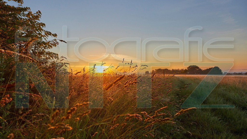 2022-06-21 05-34-10_5D420954 | Nitz Fotografie aus Montabaur bietet Ihnen hier die Möglichkeit Bilder auszusuchen und zu bestellen. 