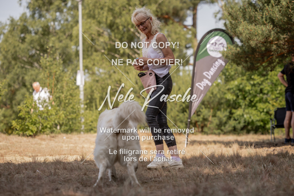 nelerasche_soDD2_190 | nelerasche