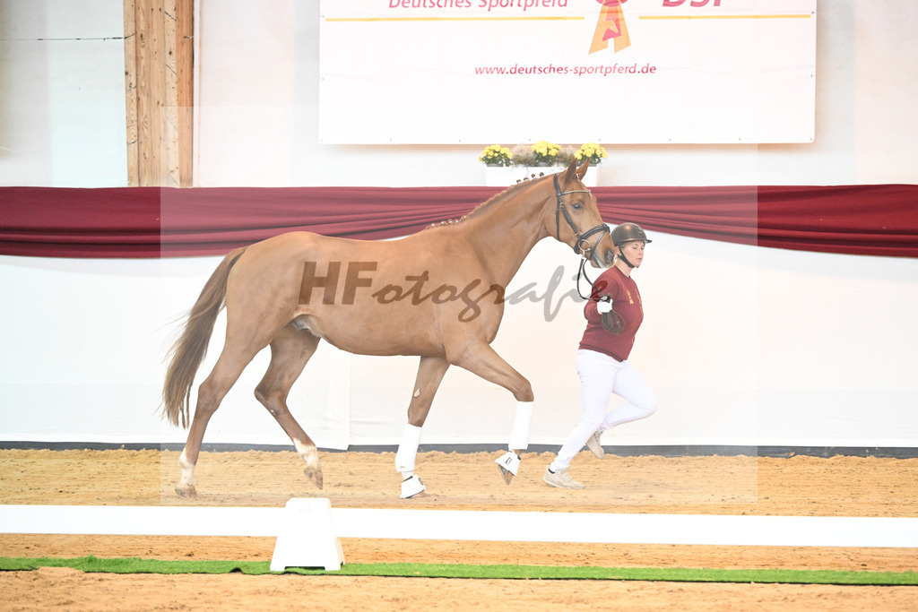 Kat-Nr. 29 v. Escamillo_Fischer_66220356 | hf-fotografie - Realisiert mit Pictrs.com