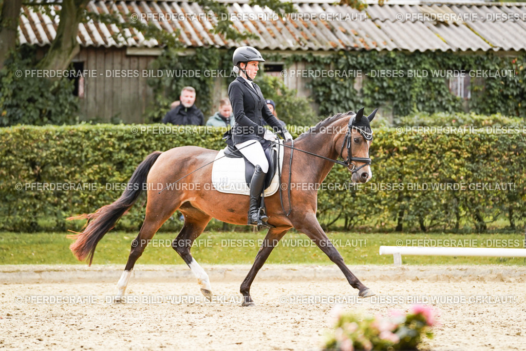 DSC01071 | Pferdegrafie