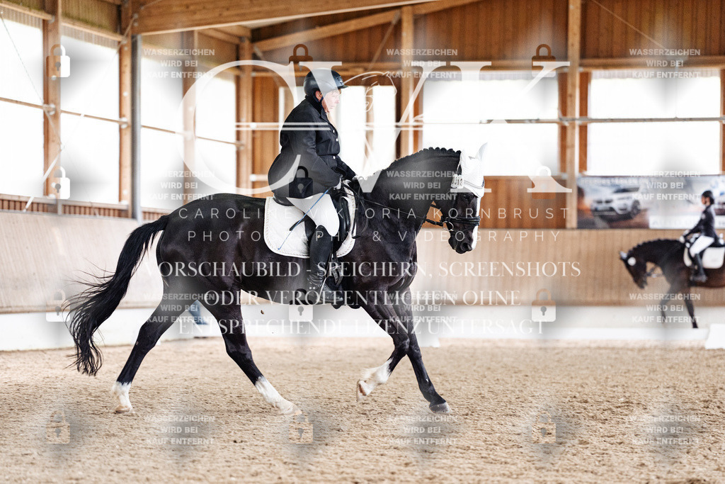 CK901184 | Turnierfotografie Pferdefotografie Trier Rheinland-Pfalz Pferdesport Reitsport Tierfotografie Sportfotografie Pferdevideo Pferdevideografie Equestrianvideography equestrianphotography  - Realisiert mit Pictrs.com