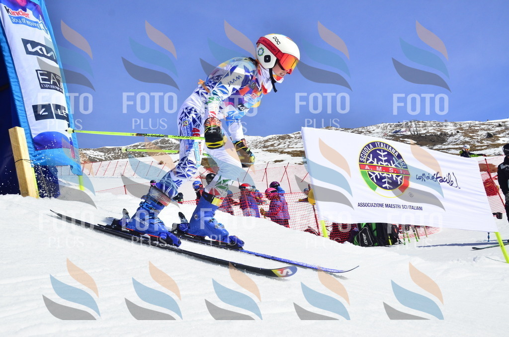 _ELE0127 | holidayphoto