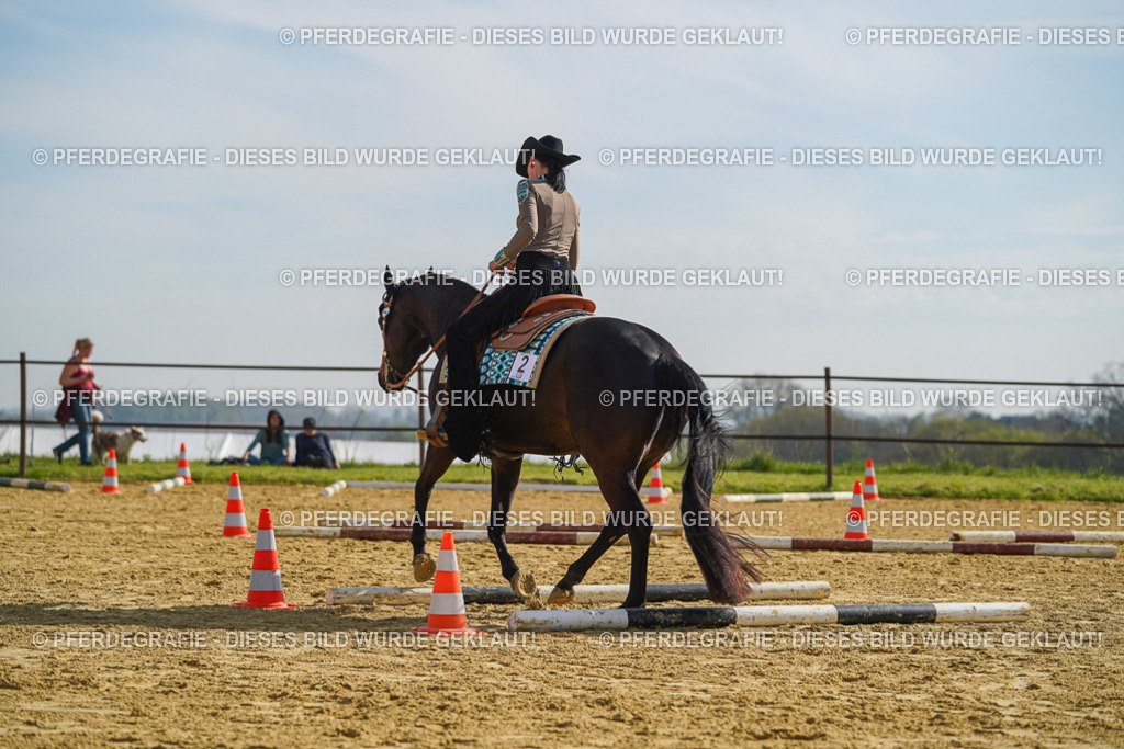 DSC01350 | Pferdegrafie