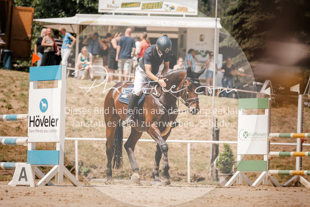 3I6A8114 | Stimmungsvolle Portraits und Reitsportfotografie im Ruhrgebiet und im Münsterland.

Pferdefotografie, Hundefotografie, Tierfotografie, Reportagen, Portraits von Tier und Mensch, Turnierfotografie in Bochum, Recklinghausen, Marl, Haltern am See, Dülmen.. - Realisiert mit Pictrs.com