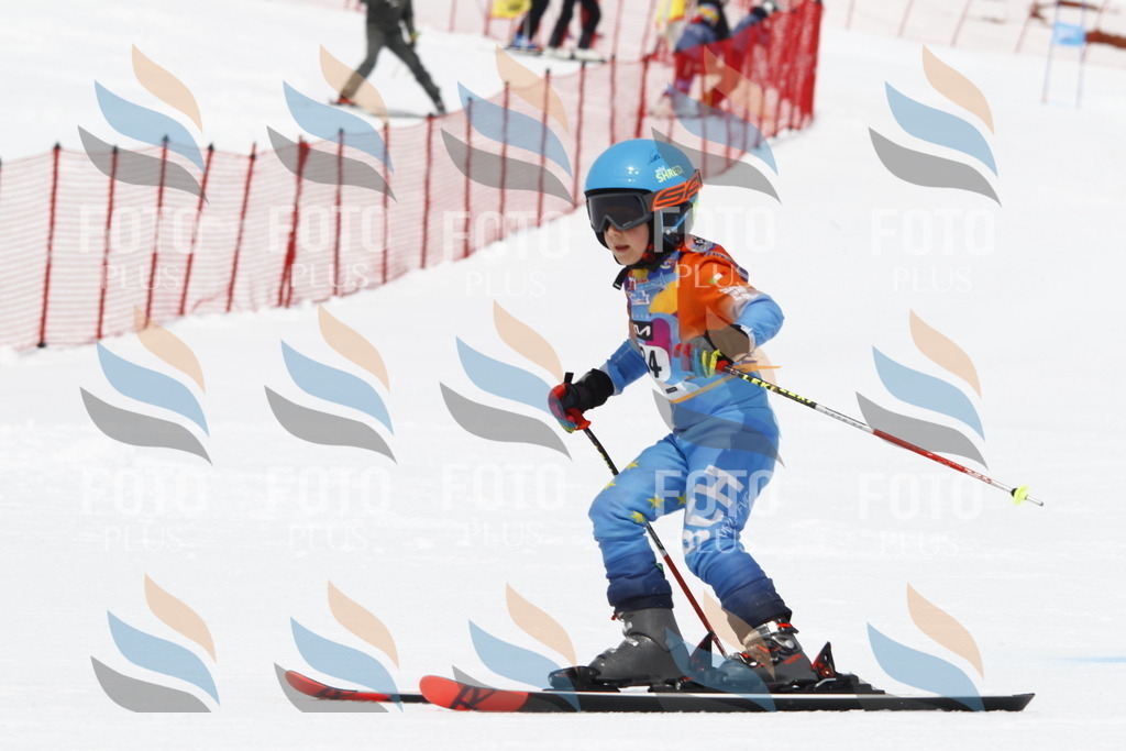 _U3G7122 | holidayphoto