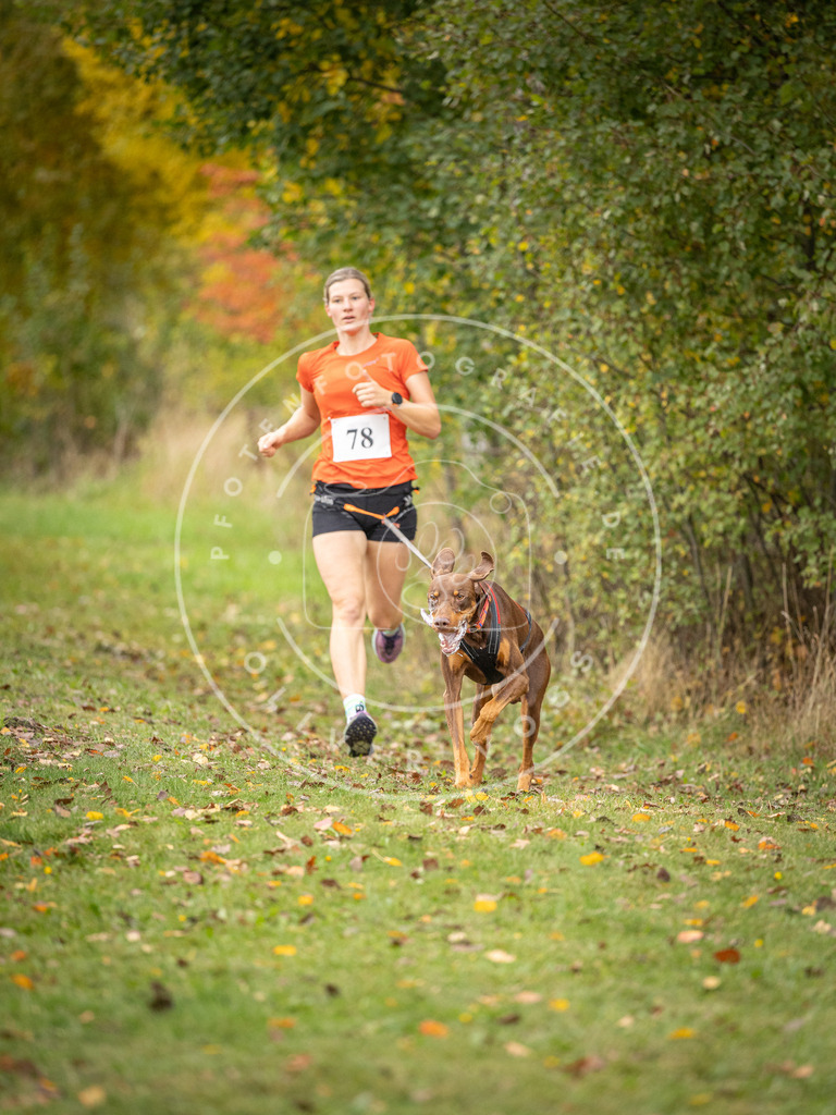 Pfotenfotografie_DV3A2976 | Hundefotografie, Tierfotograf, Pfotenfotografie, Fotoshooting Hund, Hunde Portrait, Hundesport, Hundeportraits, Heideshooting, Hunde, Sportfotograf, Hundefotograf, Turnierhundsport, THS,  - Realisiert mit Pictrs.com