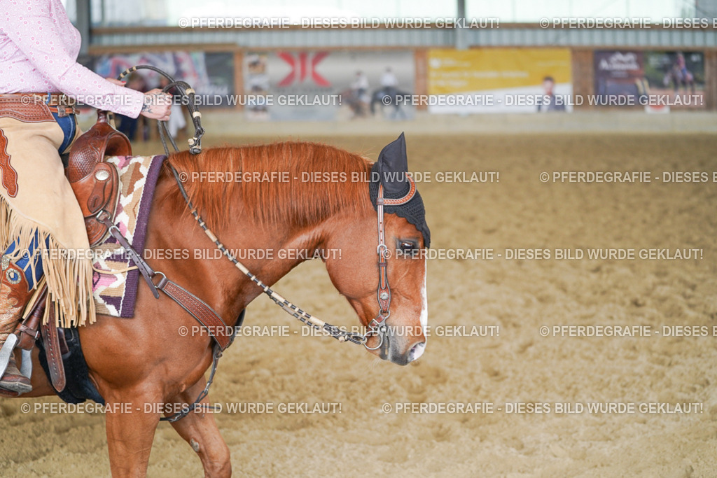 DSC02090 | Pferdegrafie