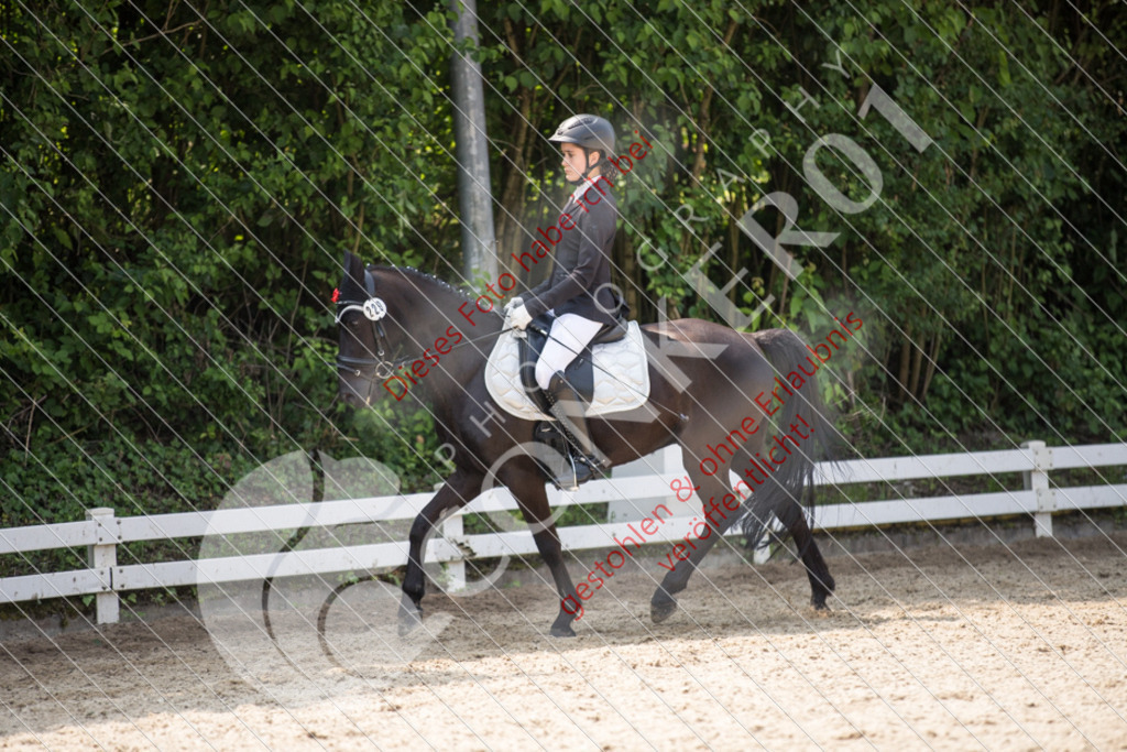 IMG_3636 | Sport-, Event- und Tierfotos in Profiqualität. Einfach auswählen, bestellen und herunterladen. Dein Moment – perfekt festgehalten.